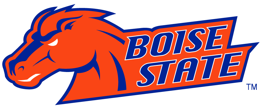 Boise State Broncos 2002-2012 Secondary Logo v15 diy iron on heat transfer